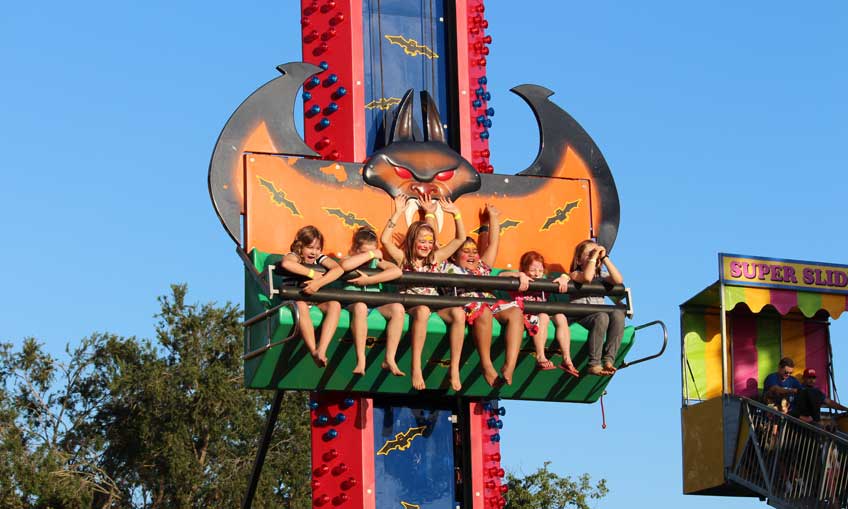 Jubilee Bat Tower ride for hire Brisbane