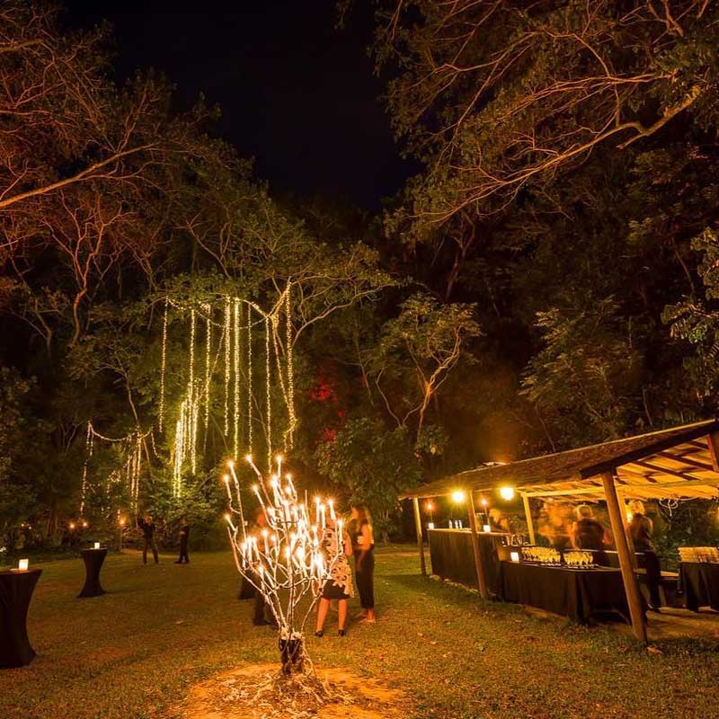 Flames of the Forest Port Douglas Qld