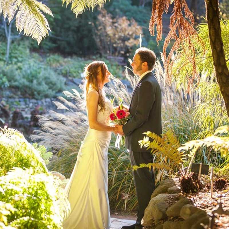 Succulent Hobart TAS