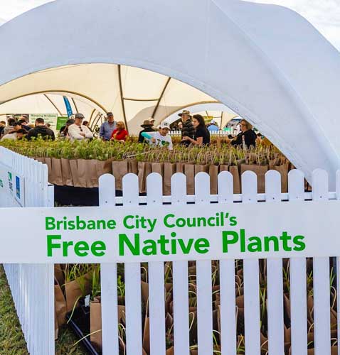 Green Heart Fair Plant Giveaways