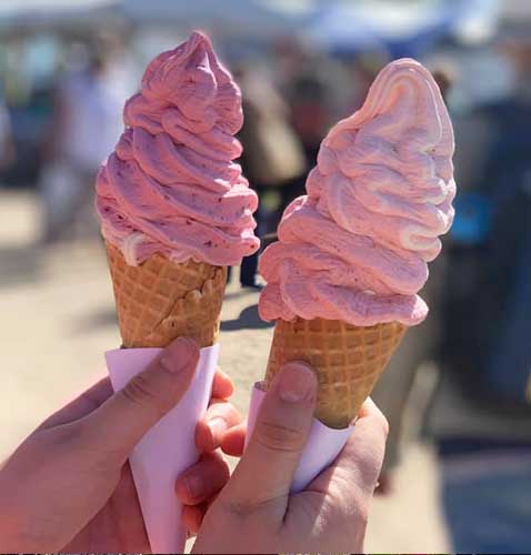 Queensland Garden Expo Sweets