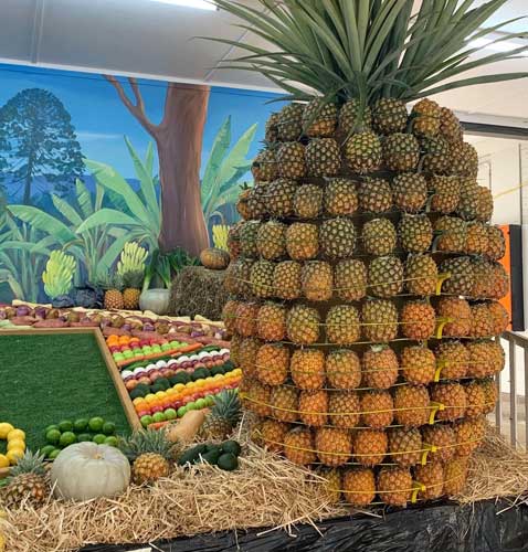 Sunshine Coast Show Stalls